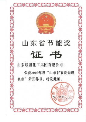 山东省节能奖